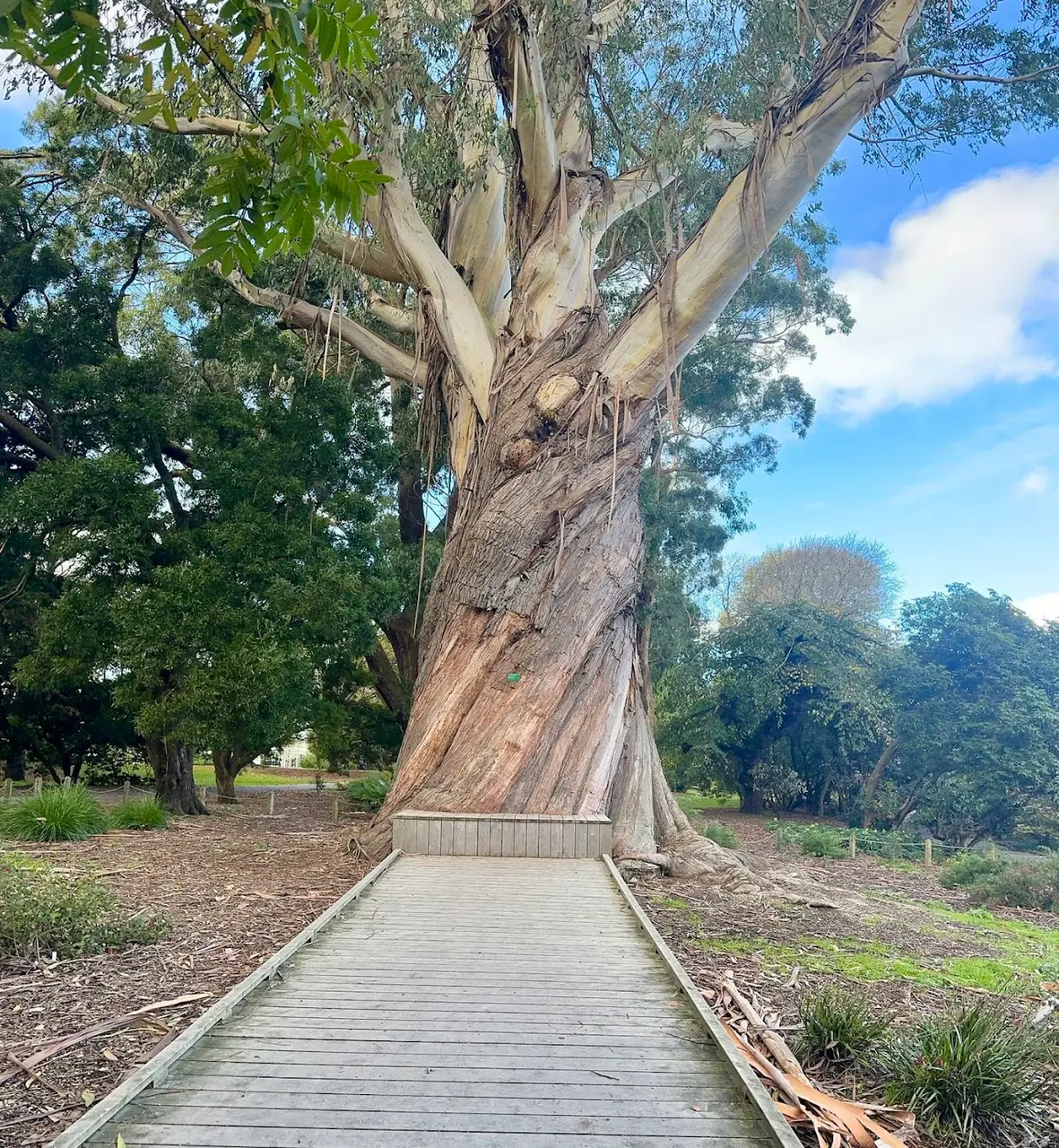 Royal Botanical gardens
