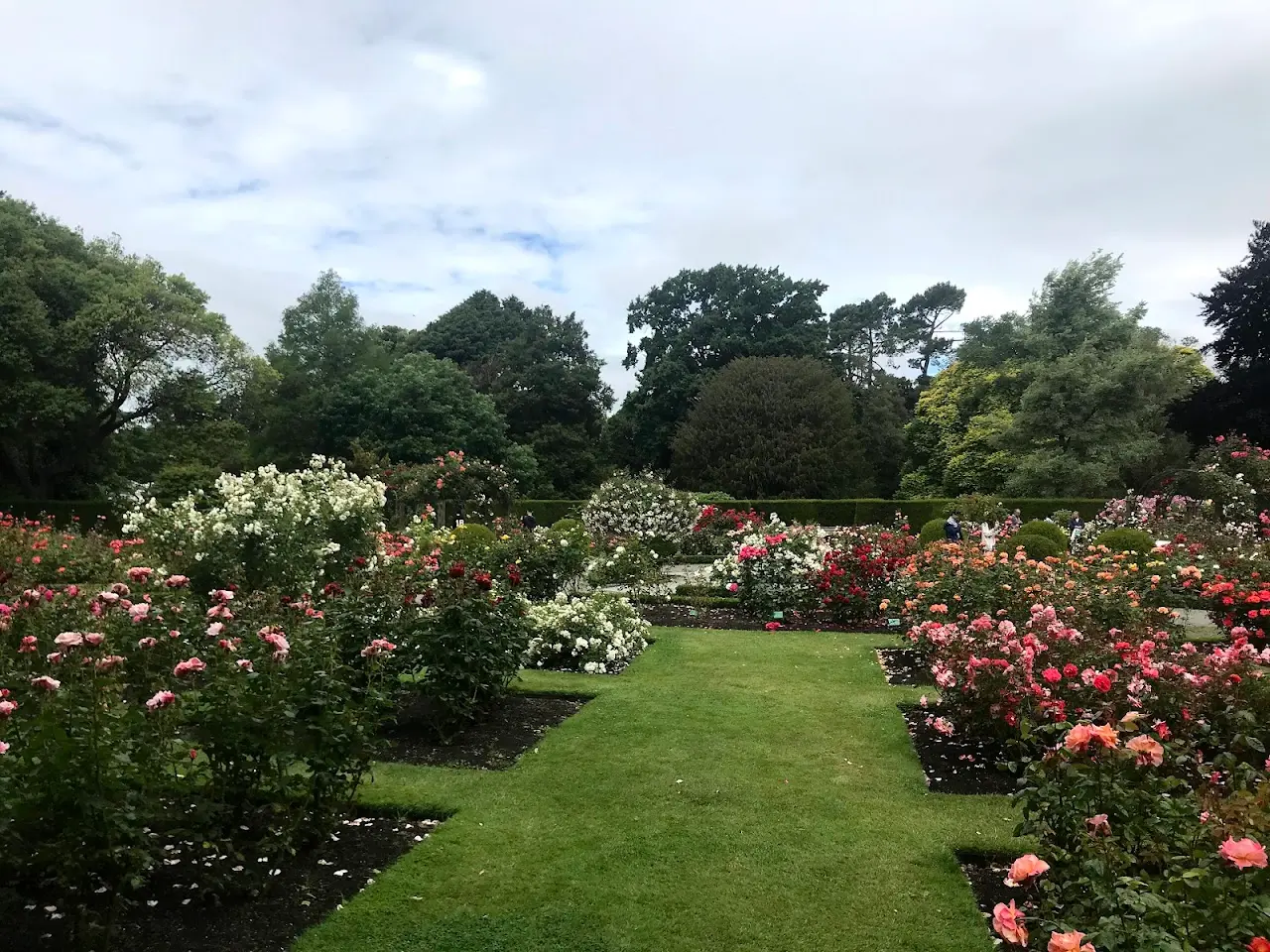 Royal Botanical gardens
