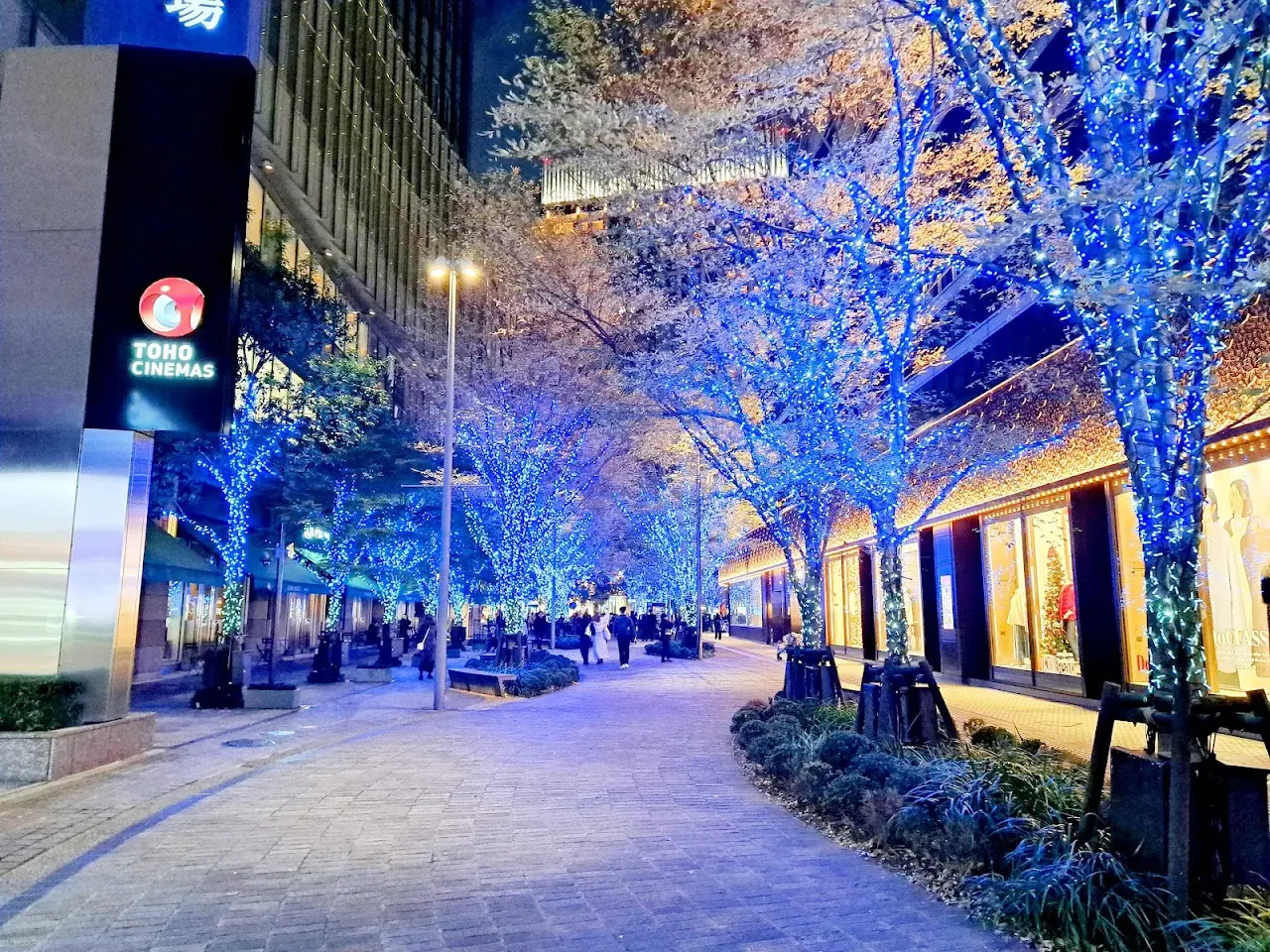 Marunouchi Illumination & Hibiya Christmas Market