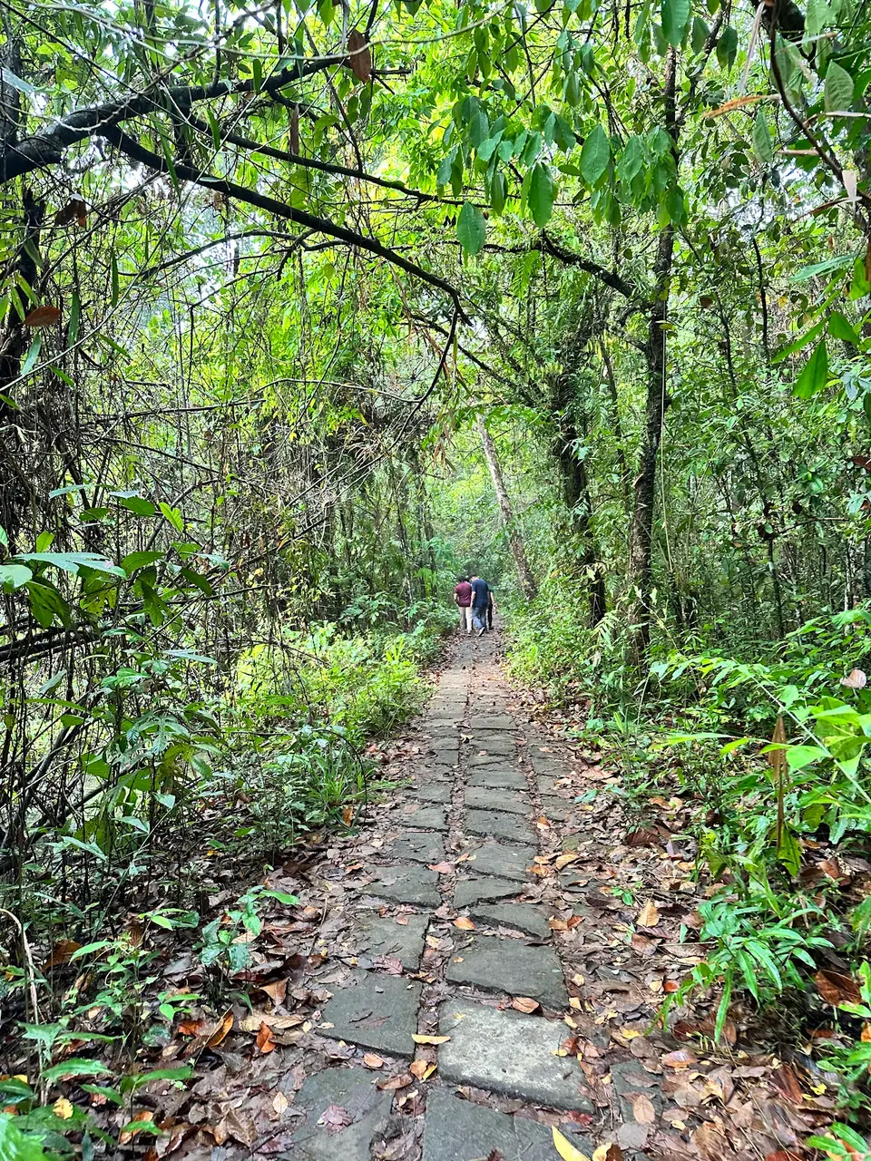 Kumarakom Bird Sanctuary