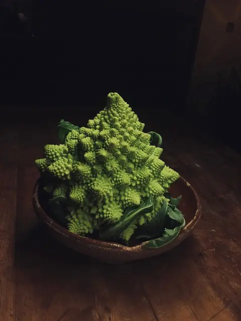 Fat Veggies — photo 2