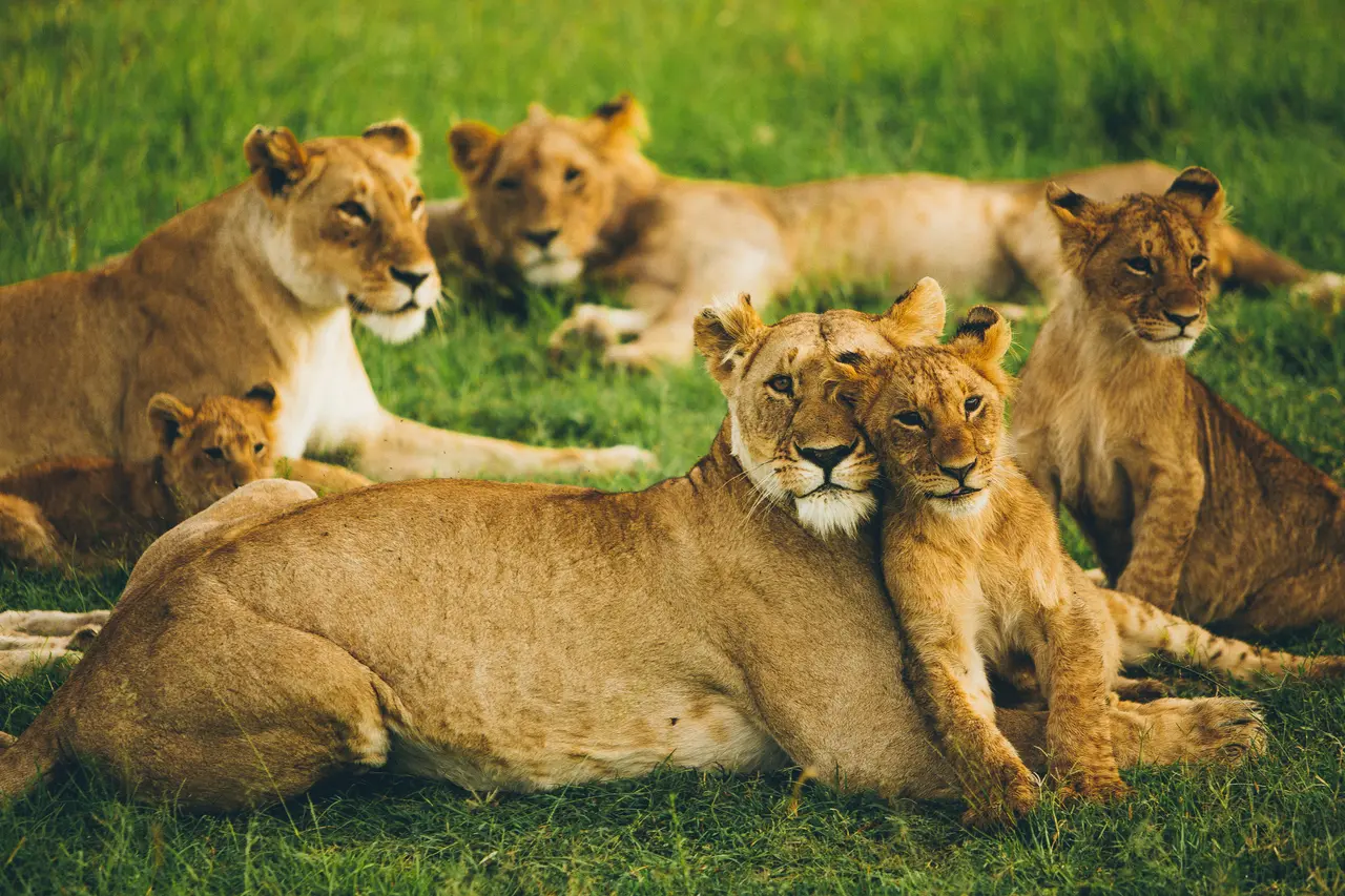 Kenya