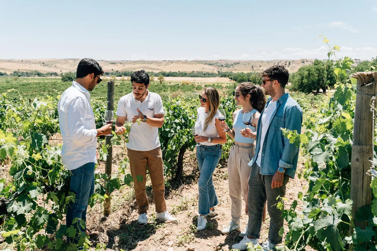 Wine Tasting Tour