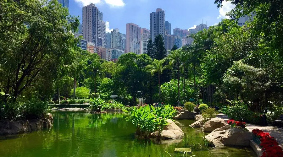 Hong Kong