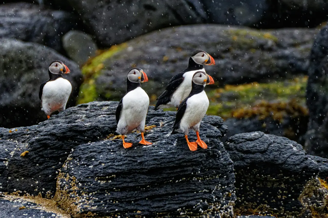 Iceland