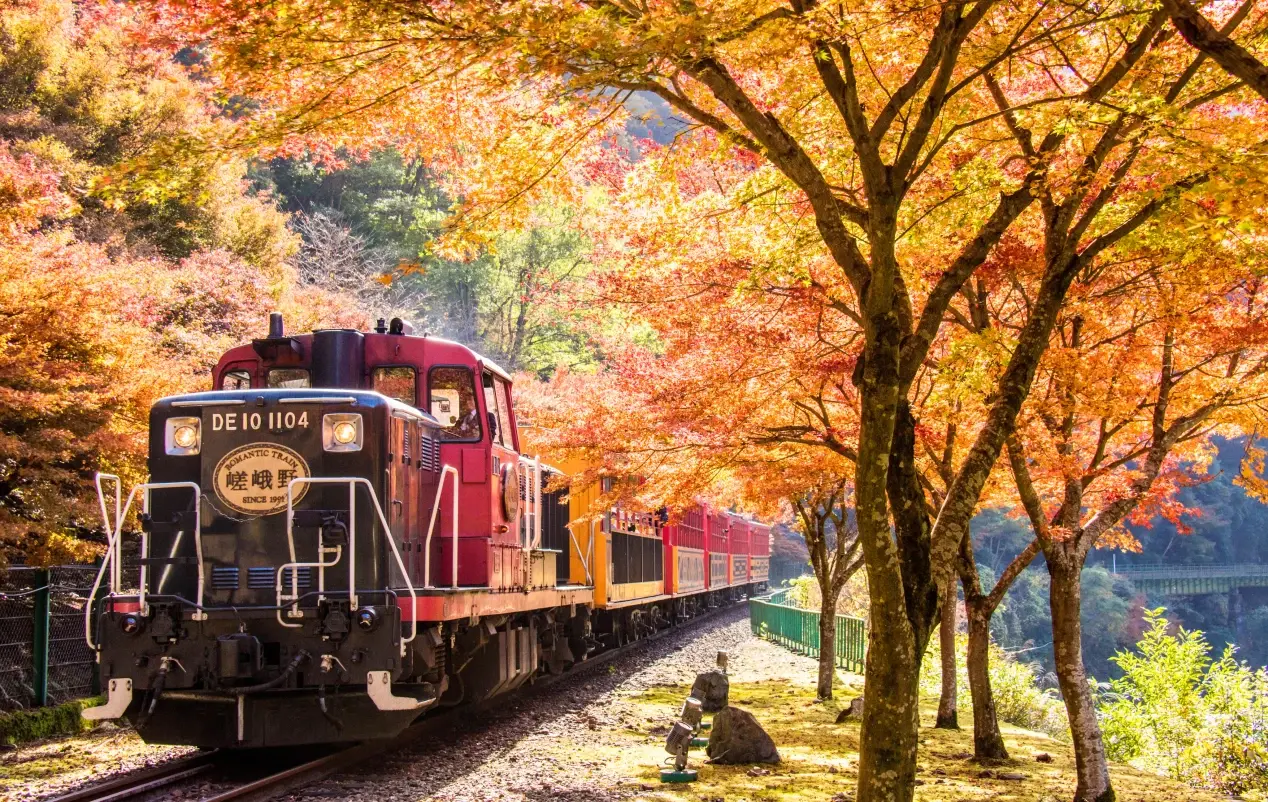 Sagano Train Experience
