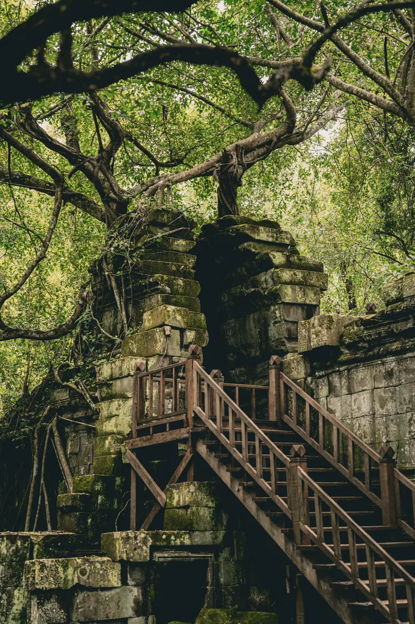 Beng Mealea Temple Guided Tour