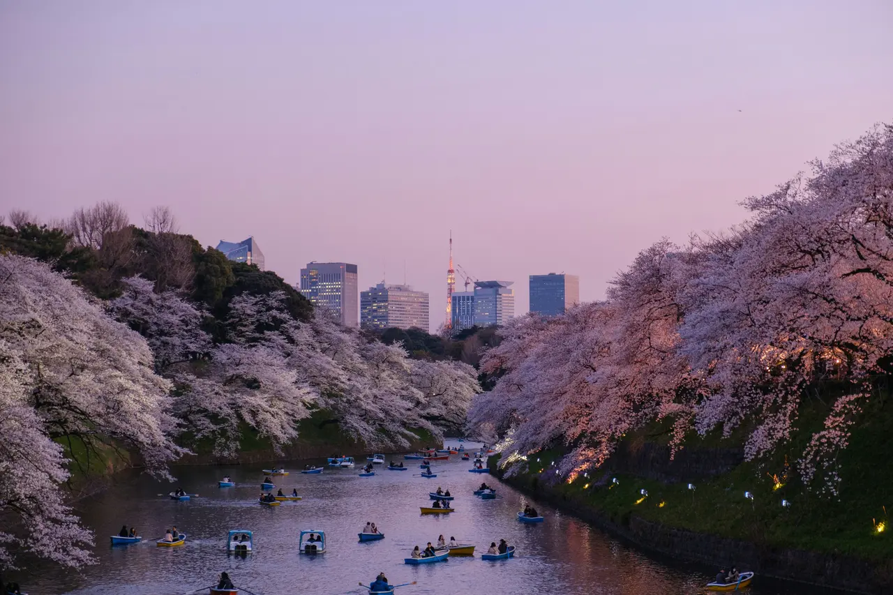 Best Places to Visit in Japan (2027): A Guide for Indian Travellers