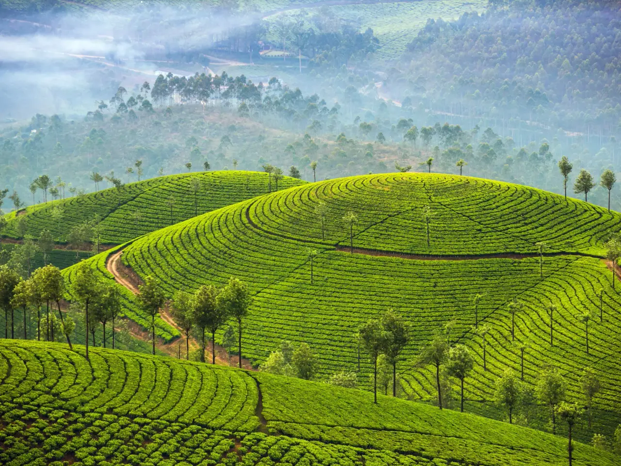 God's Own Country — The Kerala Trail