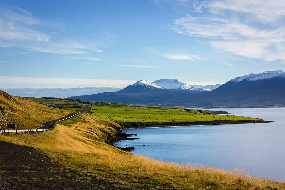 Chasing the Lights — Iceland Ring Road