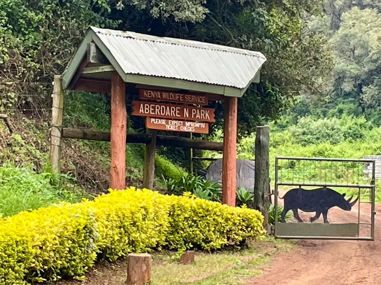 Half Day Safari Drive in Aberdare National Park