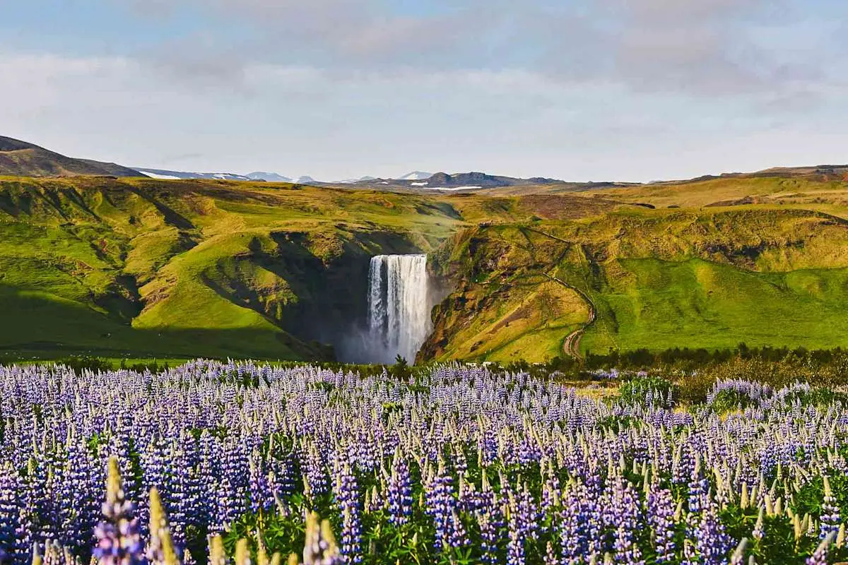 Iceland
